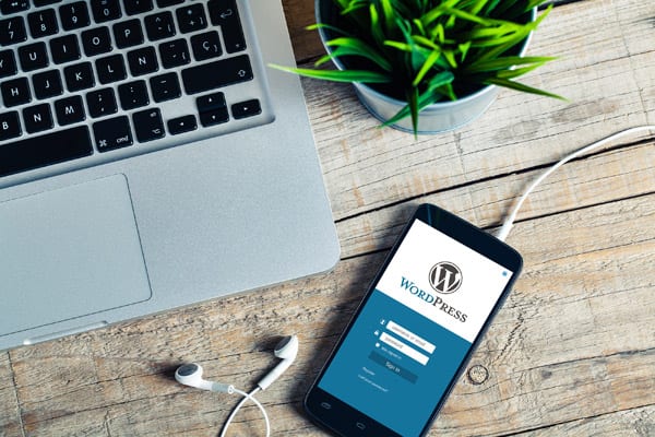 website design for wordpress